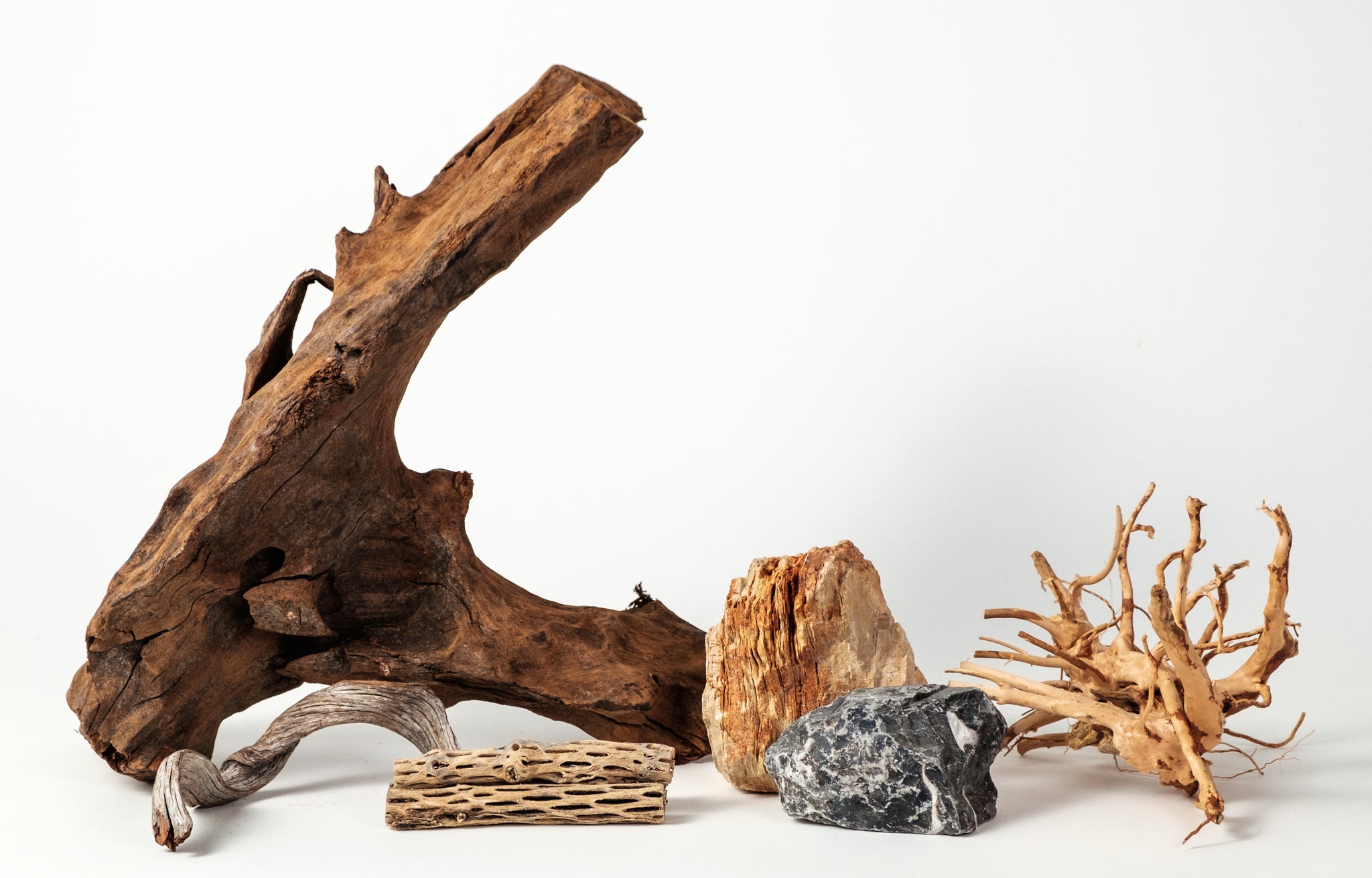 Driftwood and aquascaping hardscape stone, the kind of setup a regular maintenance routine is built to keep healthy