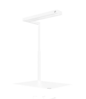 UNS x ONF Flat Nano Stand LED Light Limited Edition