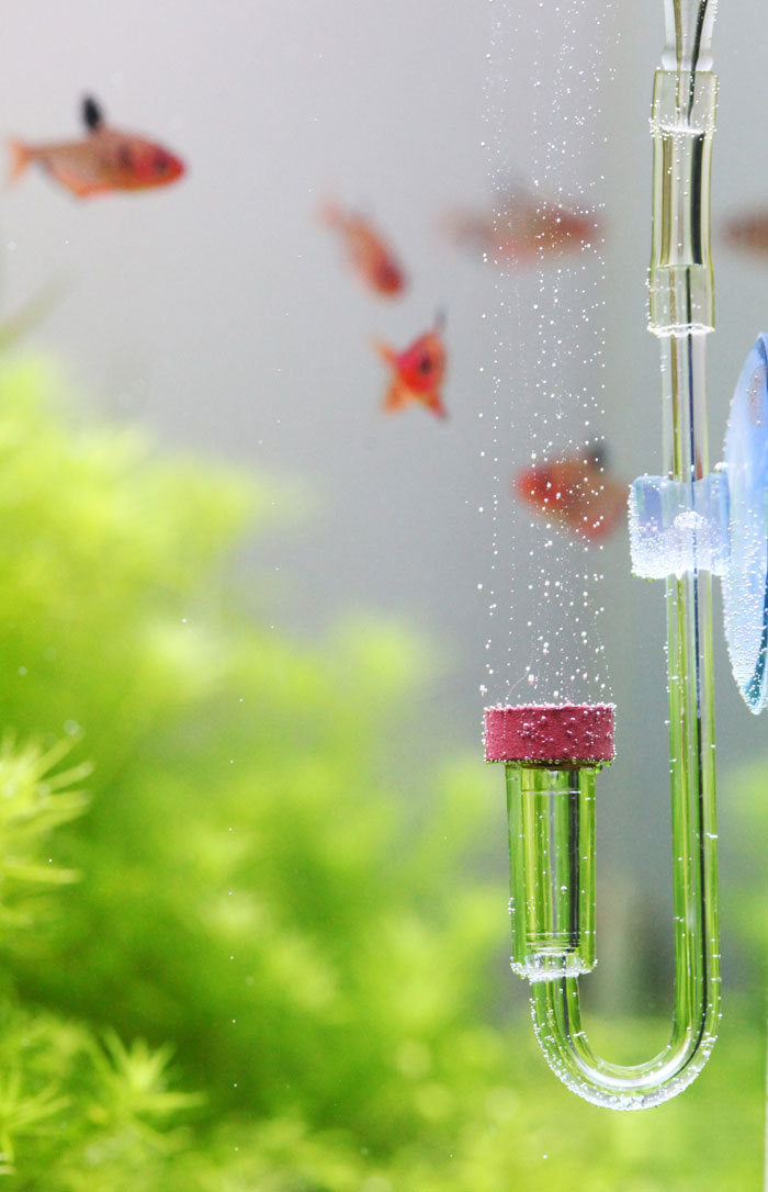 AQUARIO CO2 DIFFUSER - Main Image