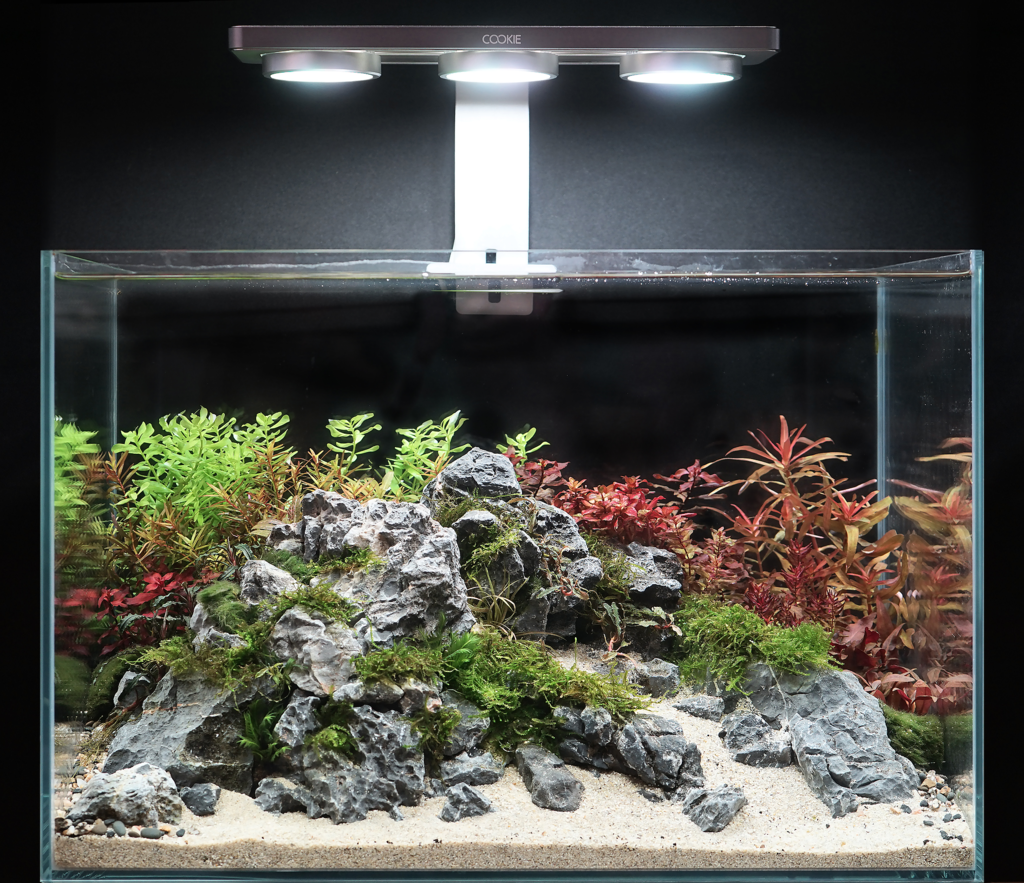 Planted Aquarium Lighting: E6+ – Aquascape Supply
