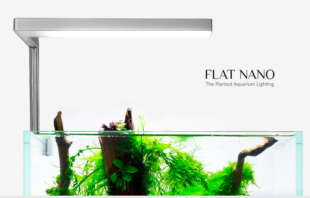 ONF Flat Nano
