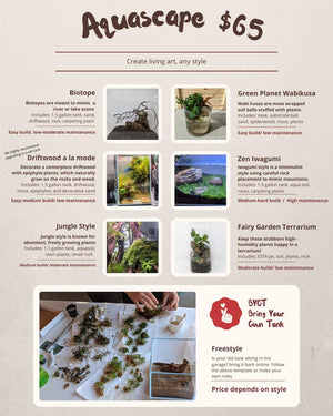 Stop & Scape Aquascape