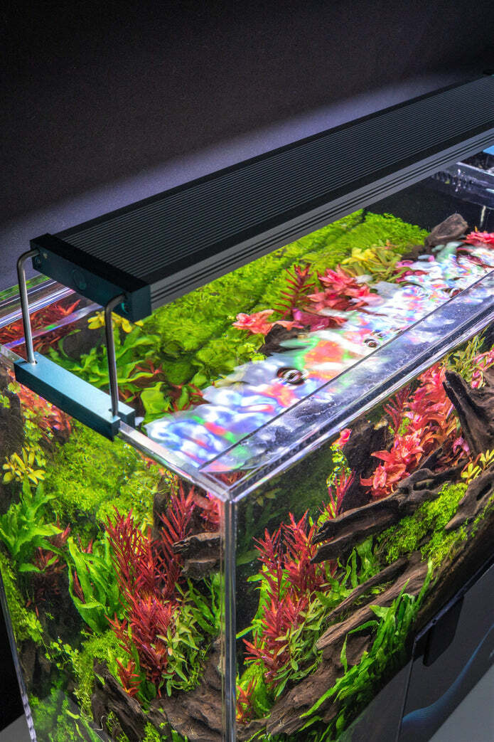 TWINSTAR LED C VR. III - Planted Aquarium LED Light – Aquascape Supply