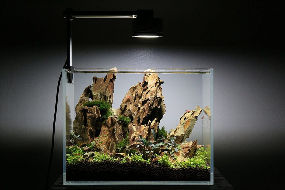 Stunning Low Iron Nutrient For Planted Aquarium image